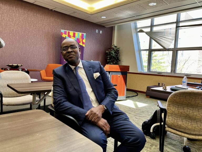 Who Is Bolaji Balogun? Meet Unilever Nigeria’s New Chairman