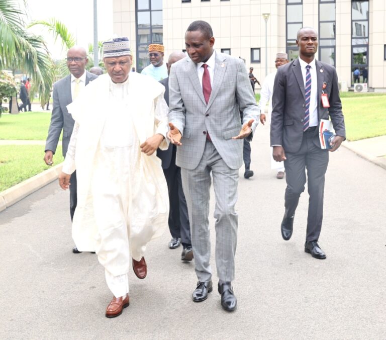 ‘Stop Operating Like Armed Robbers’: Group Vows To Hold Planned Protest Despite EFCC Warning