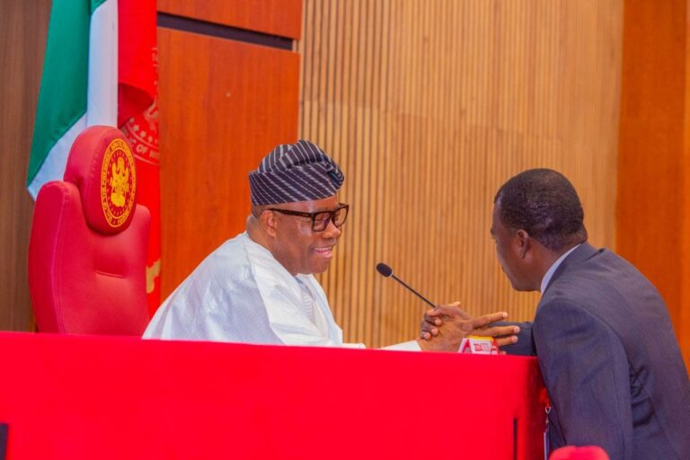 Nigerian Senate Stops Moves For New Grazing Routes