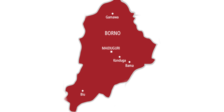 Four Teenagers Killed by Explosive Device in Borno