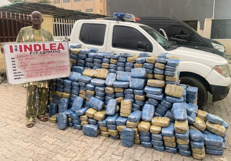 NDLEA Finds Huge Drugs At Snake-Guarded Edo Shrine