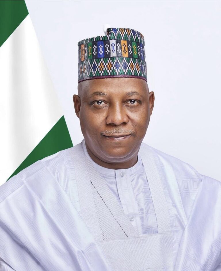 Tinubu Administration Has Ended Economic Volatility — VP Shettima