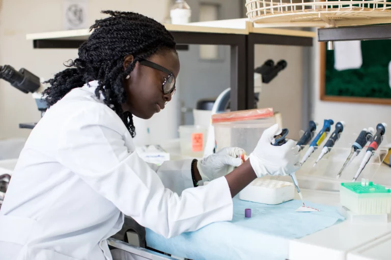 Historic Milestone: WHO Declares Egypt Malaria Free