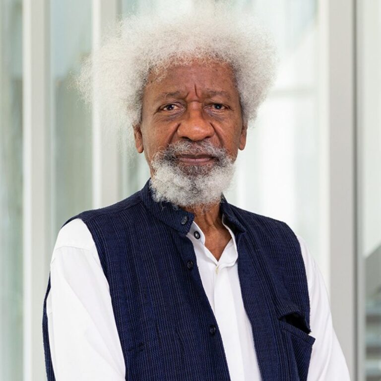 Why I Won’t Assess Tinubu For Now – Soyinka