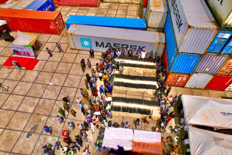 Kano Shop Owners Accuse Customs Officers of Extortion, Harassment