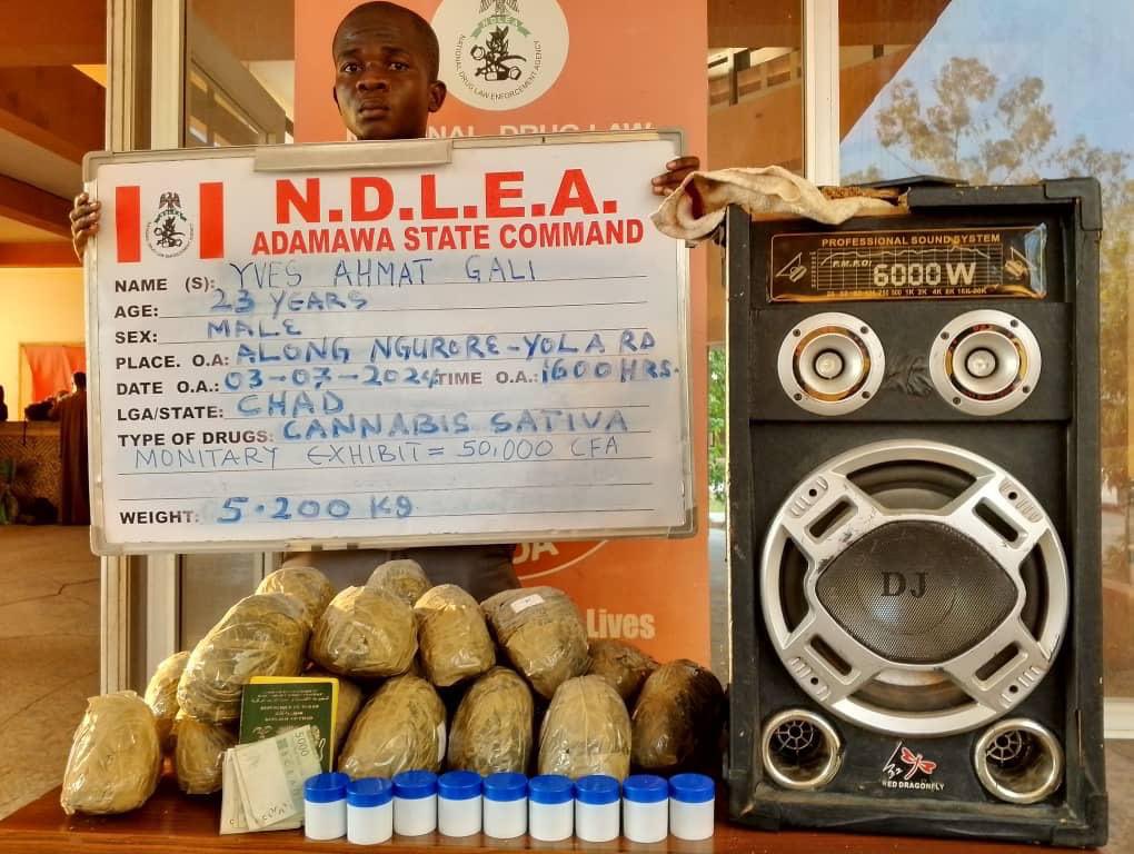 NDLEA 2