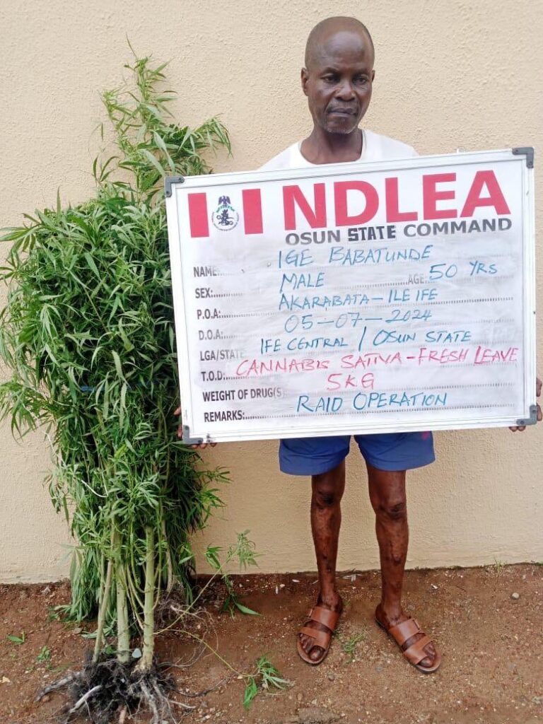 NLDEA 3