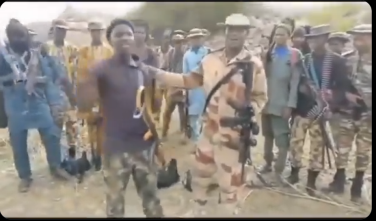 Zamfara Bandit King: Govt Officials, Security Men Coordinate Attacks With Terrorists