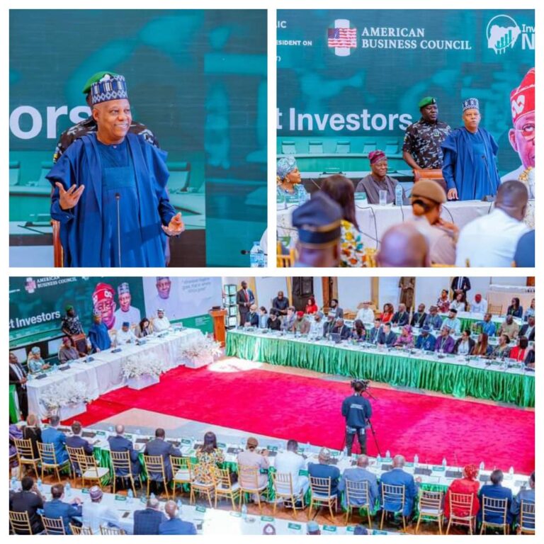 Shettima Urges Foreign Investors To Explore Non-Oil Sectors
