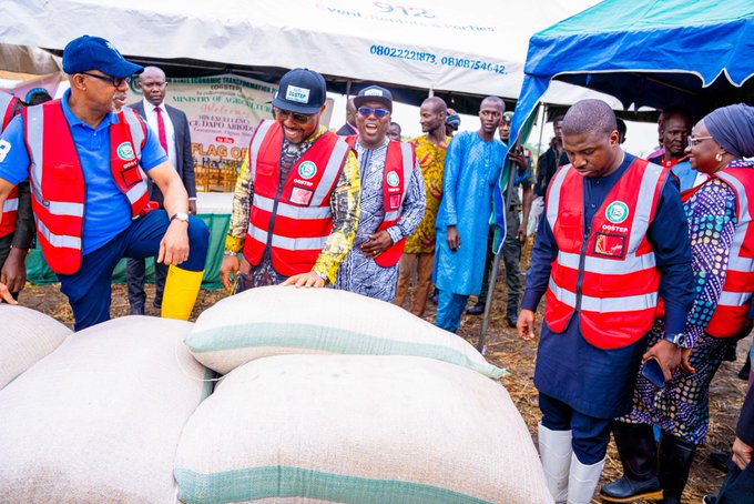 Dapo Abiodun 12 Rice 1