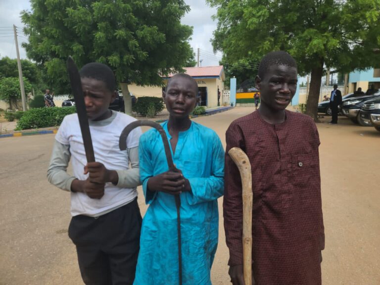 Snapshots: Police Recover Stolen Goods, Weapons From #EndBadGovernance Looters (Six Photos)