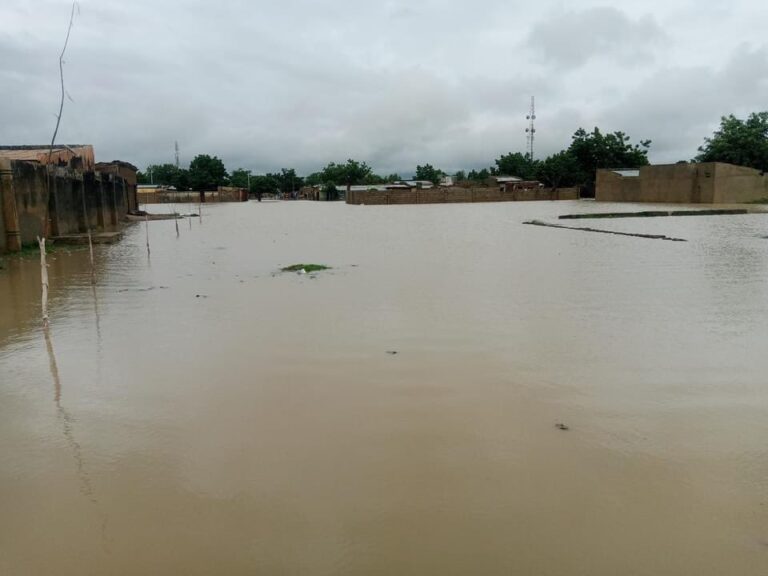 FG Says Borno Dam Did Not Collapse, Attributes Overflow to Excessive Rainfall
