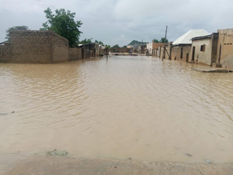 Flooding Overwhelms 12 Jigawa LGs, Residents Fear Repeat Of 2020 Disaster