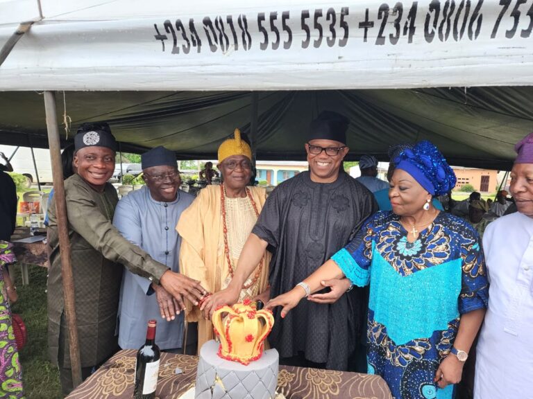 Afenifere Plans New Political Party, Says Nigeria Sliding Into Fascism Under Tinubu