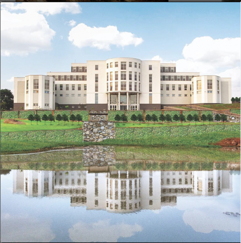 Lion Kills Zookeeper at Obasanjo’s  Zoo