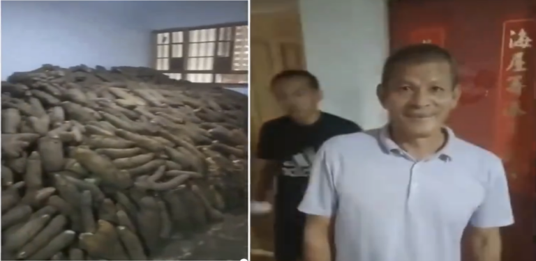 (ICYMI) Chinese Farmer’s 50-Acre Yam Farm in Nigeria Sparks Debate