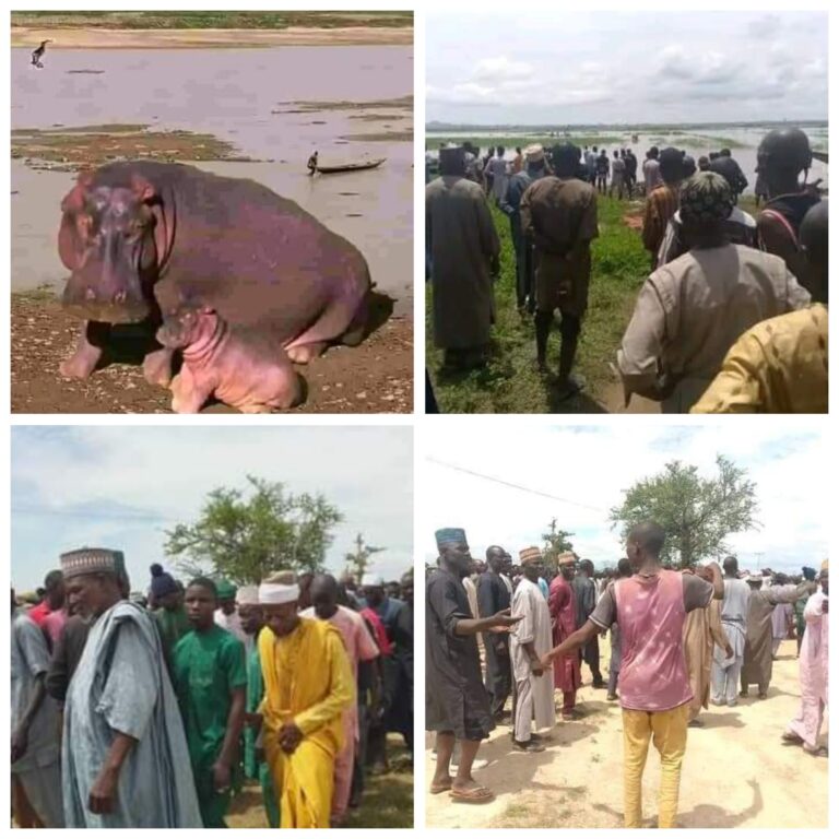 Kebbi Emir’s Guard Killed by Hippopotamus