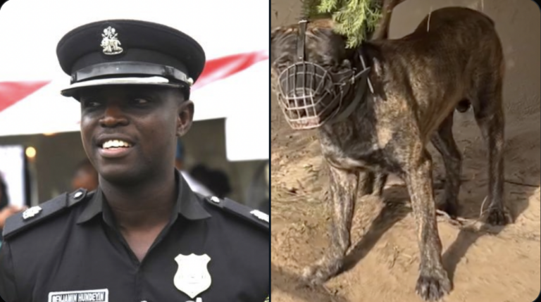 Why We Saved ‘Killer Dogs’, Placed Them In Protective Custody – Lagos Police