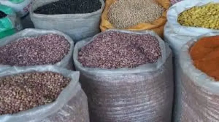 Beans Price Drop Brings Relief to Lagosians
