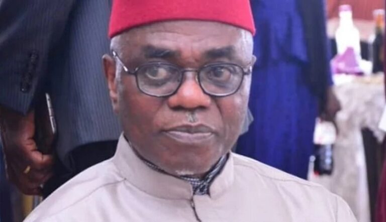 Ohanaeze Ndigbo Appoints New President-General Amid Leadership Challenges