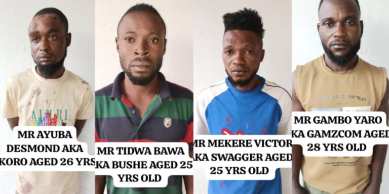 Nigerian Army Arrests Four Cameroonian Rebels for Supplying Firearms to Bandits