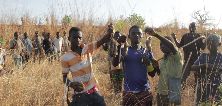 Lassa Fever Crisis: 190 Lives Lost as Nigeria Launches Urgent Response Centre