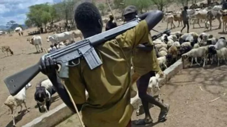Herdsmen Kill Farmer on His Farm in Delta