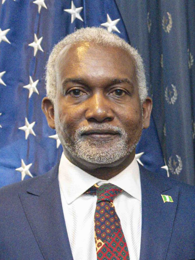 Bauchi Gov Attacking Tinubu For A Possible 2027 Run – Minister