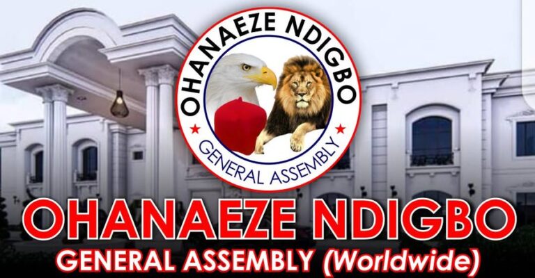 Southeast Governors Accused of Hijacking Ohanaeze Polls