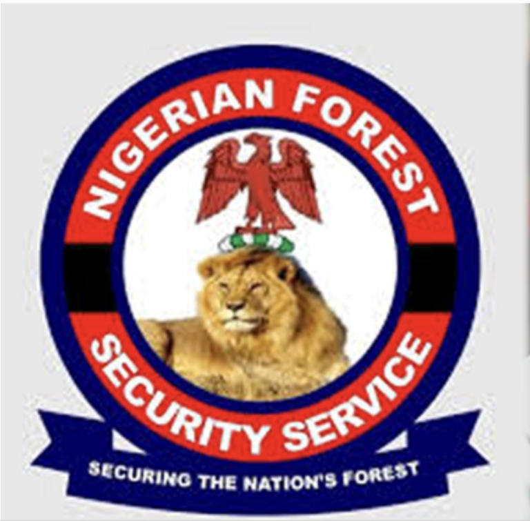 Anambra Insecurity: Forest Security Service Vows To Deal With Unknown Gunmen