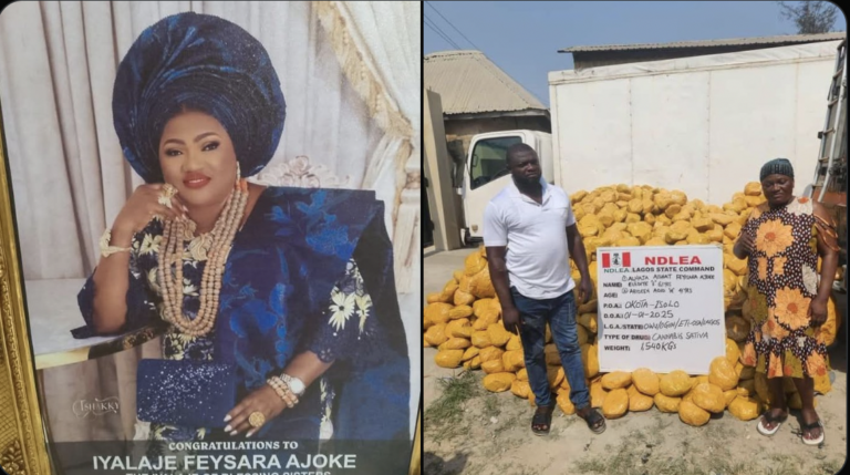 NDLEA Nabs Nollywood Filmmaker, Lagos Socialite, Students Arrested
