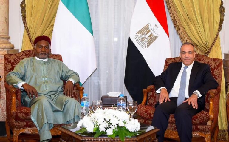 Nigeria, Egypt Forge Stronger Alliance with Visa-Free Diplomacy
