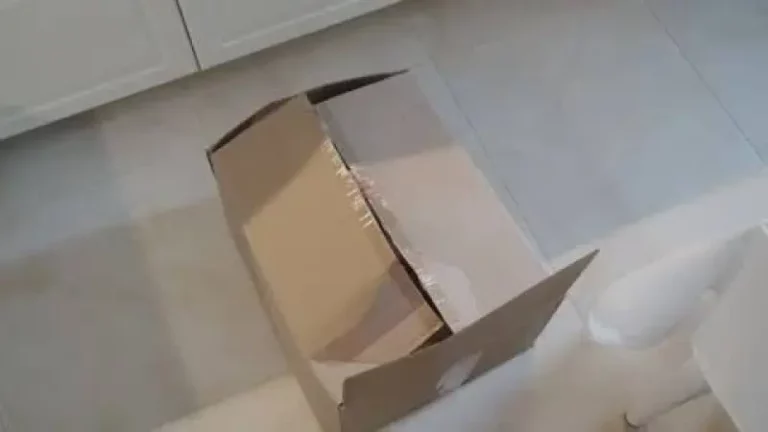 Tragedy Strikes as Newborn Found Dead in Kano Carton