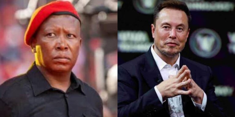 EFF Tells Elon Musk to ‘Go to Hell’ Over Attack on Malema