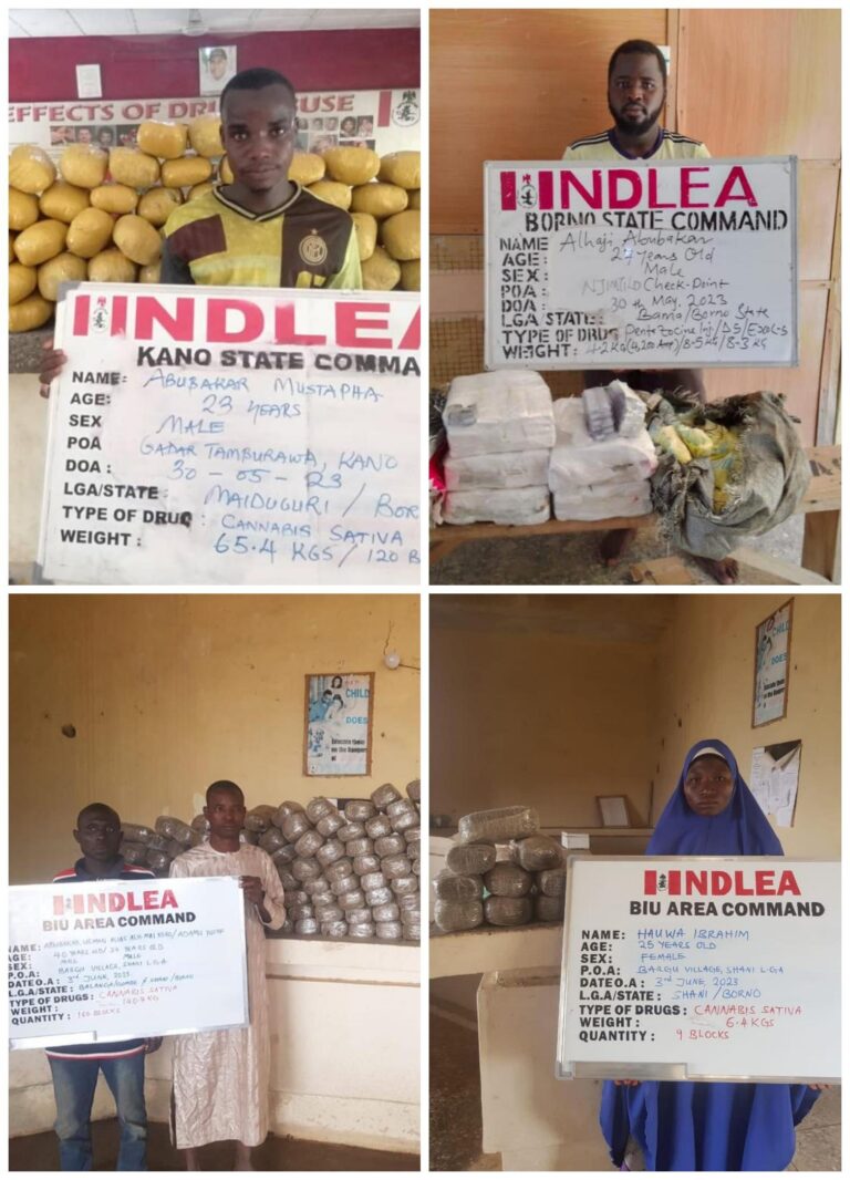 Ekiti NDLEA Arrests 284 Drug Traffickers, Destroys 192 Tonnes Of Cannabis