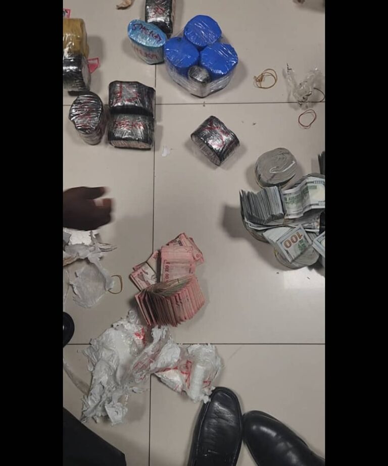 Court Convicts Kano Woman for Smuggling Undeclared Foreign Currencies