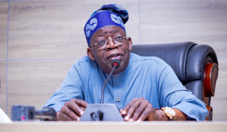 Presidency: Tinubu Focused on Economic Development, Not 2027 Elections