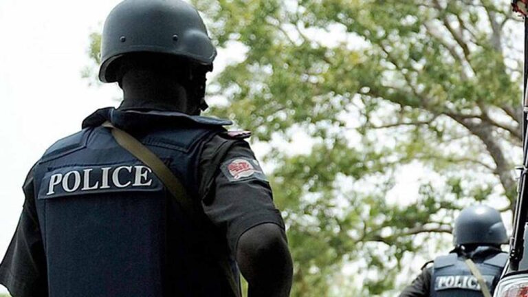 Borno Police Stop Insurgent Raid on Malari Village, Begin Rescue Operation