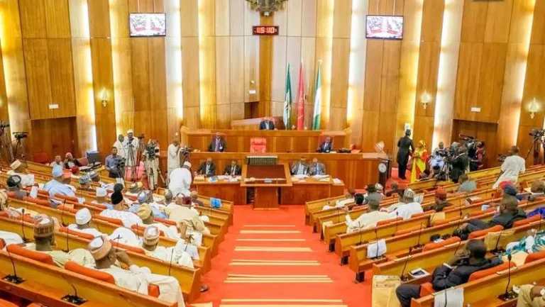 Nigeria Gets New Ambassadors as Senate Approves Career, Political Appointments