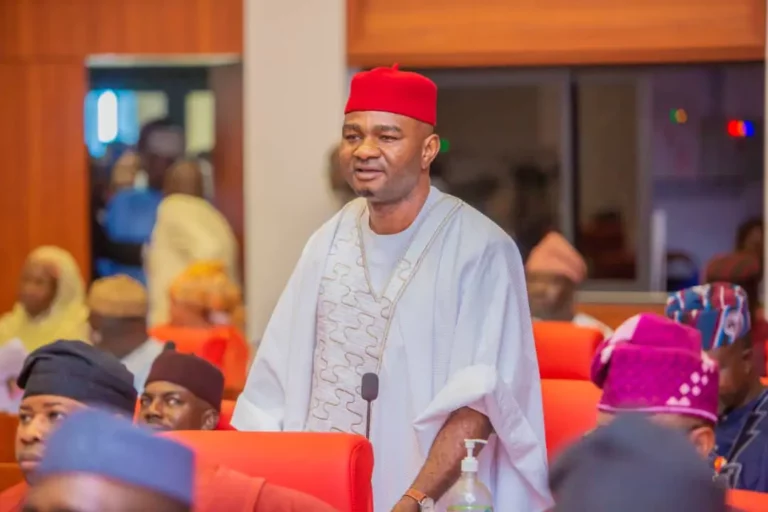 Senator Apologises for Verbal Clash with Oby Ezekwesili at Senate Hearing