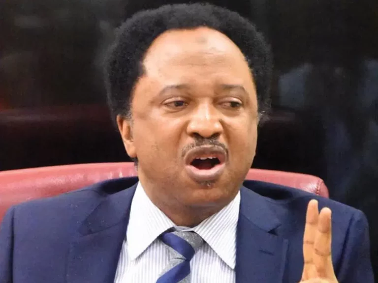 Shehu Sani Warns Nigerians with Health Issues Against Watching AFCON Matches