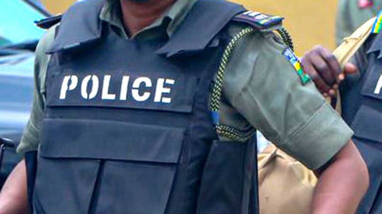 Mob Attacks Police Officers in Edo, Two Injured