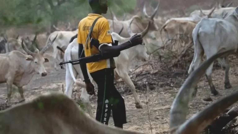 Three Farmers Injured in Suspected Herders’ Attack in Bauchi
