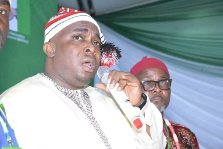 Ohanaeze Ndigbo Gives 30-Day Ultimatum to South-East Governors Over Herdsmen Violence