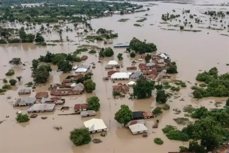 Niger Flood Tragedy Claims 115 Lives, Over 150 Injured as Government Seeks Federal Help
