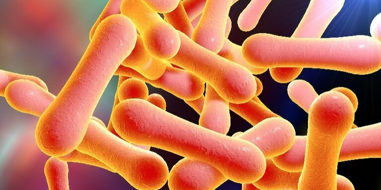 Diphtheria Kills Two in Zaria Community