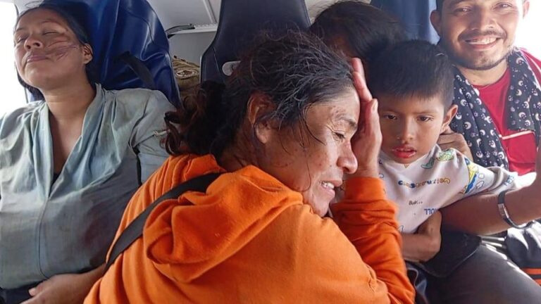 Five Survive Plane Crash in Alligator-Infested Swamp