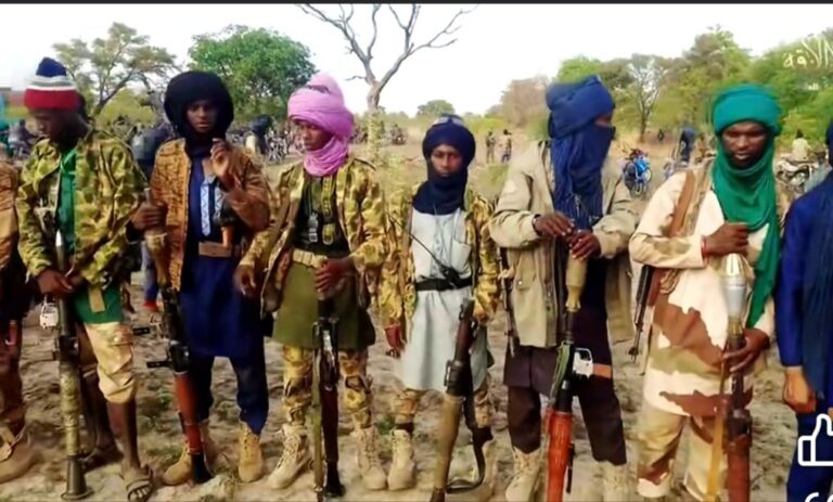 27 Soldiers Rescued, 44 Killed in Niger River Ambush Near Benin Border