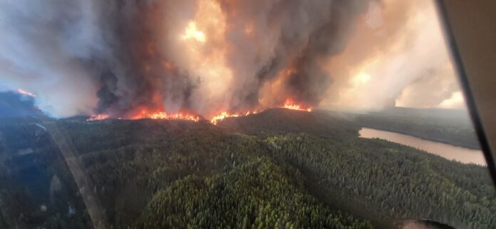 Wildfire Photo Reuters