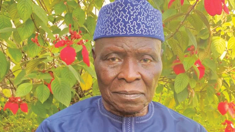 Ex-Kwara Governor Cornelius Adebayo Dies at 84